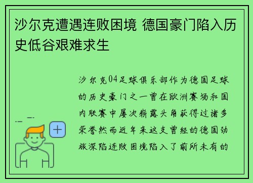 沙尔克遭遇连败困境 德国豪门陷入历史低谷艰难求生